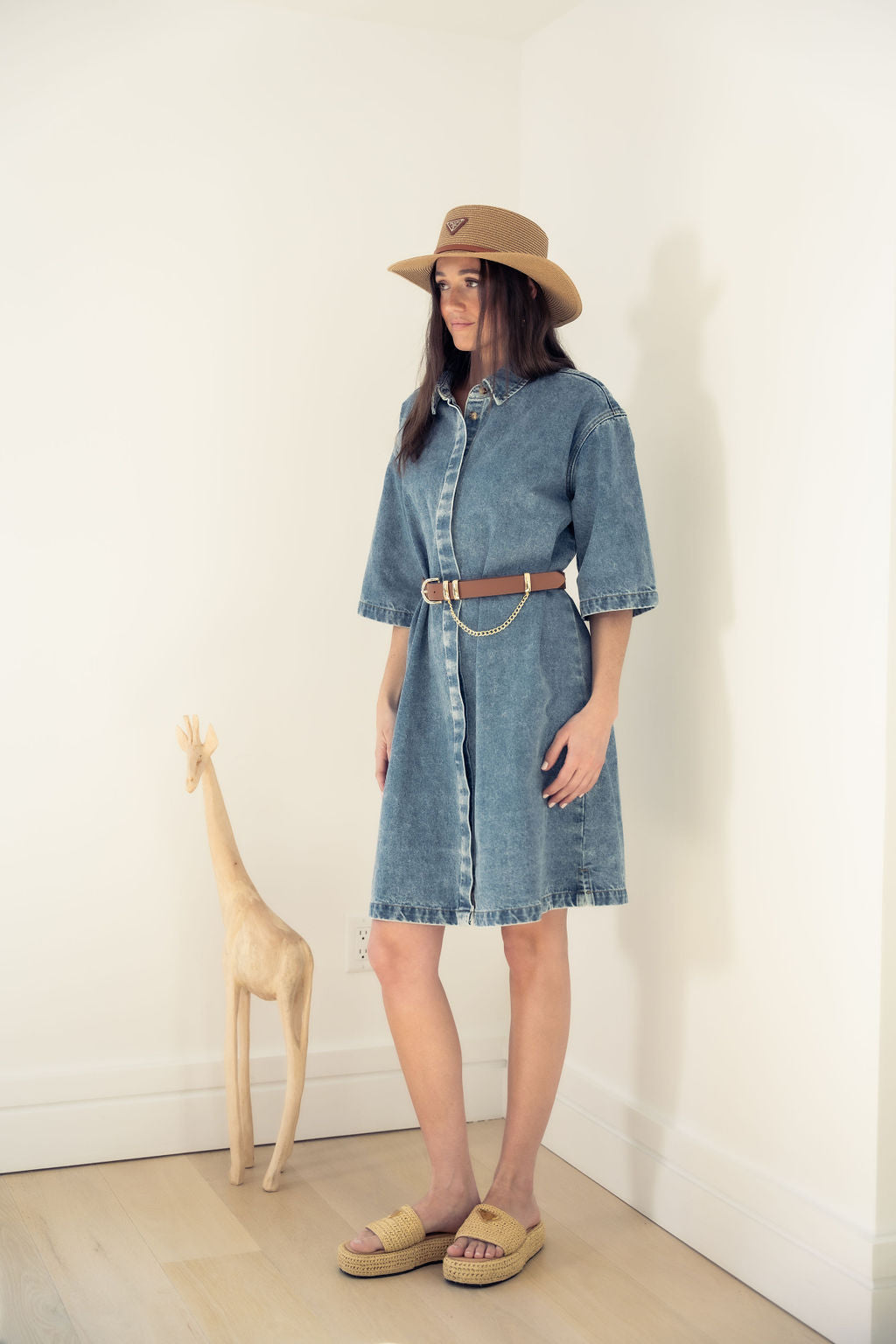 DENIM DRESS