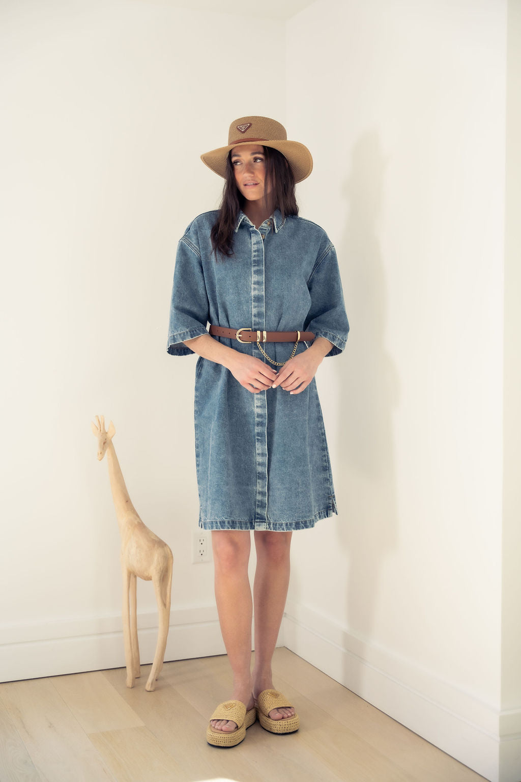 DENIM DRESS