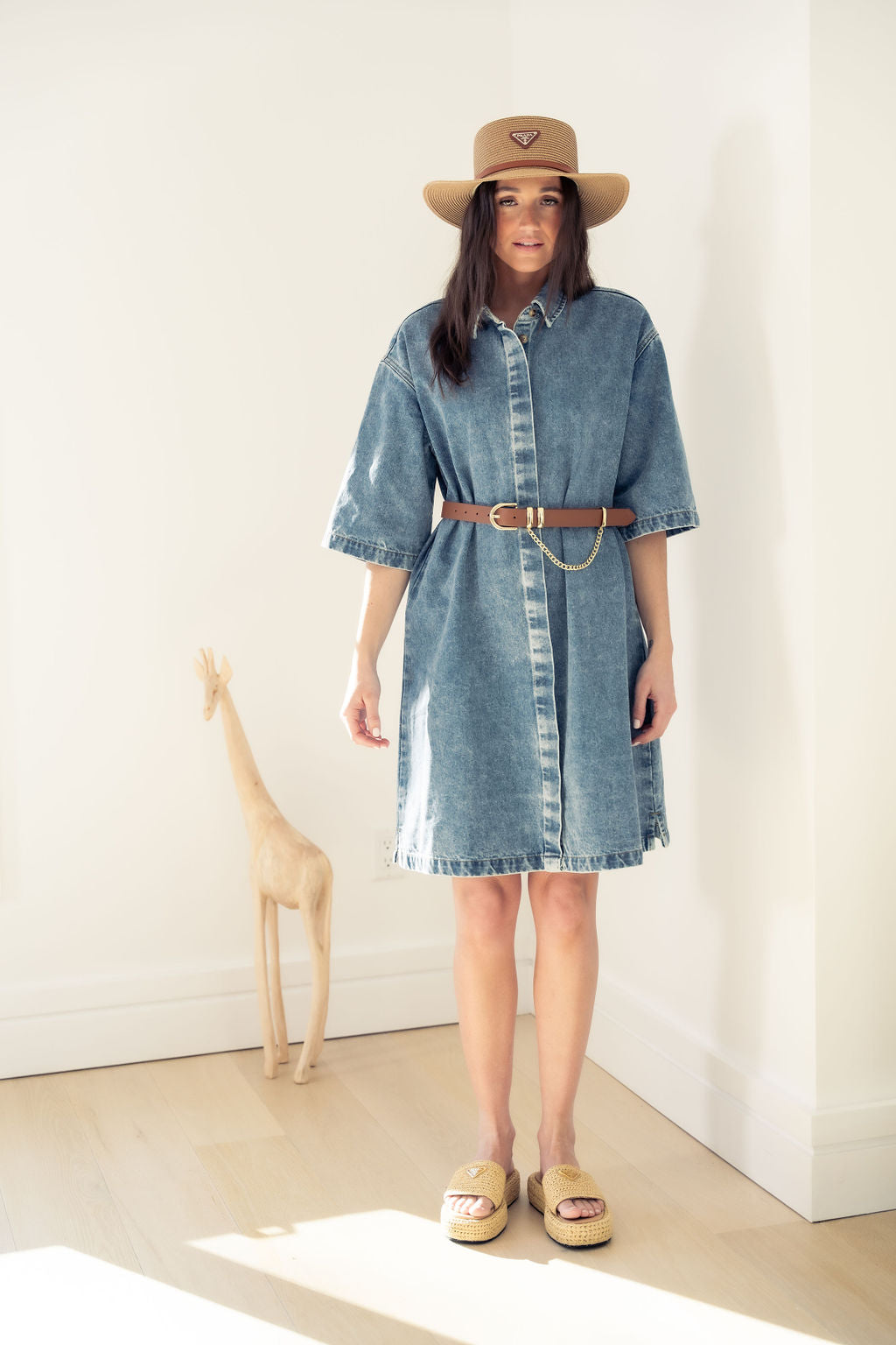 DENIM DRESS