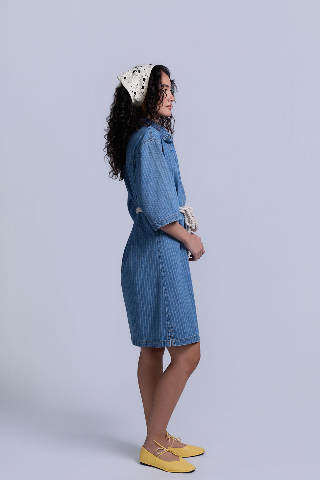 Denim Pinstripe Dress