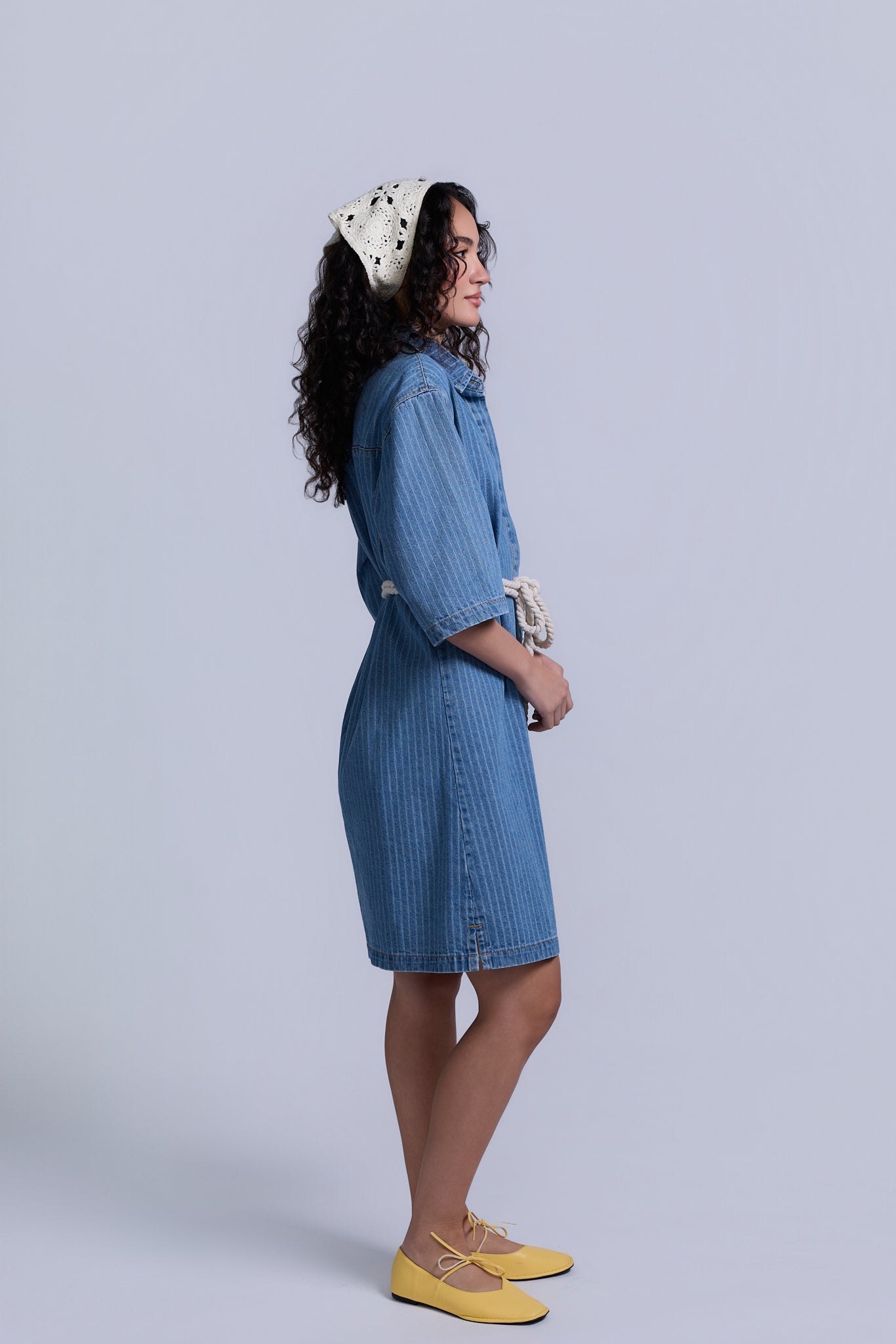 Denim Pinstripe Dress