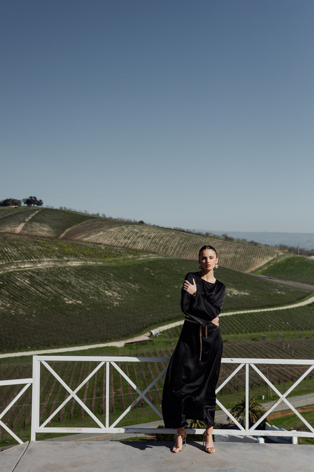 Slip Long Sleeve Dress