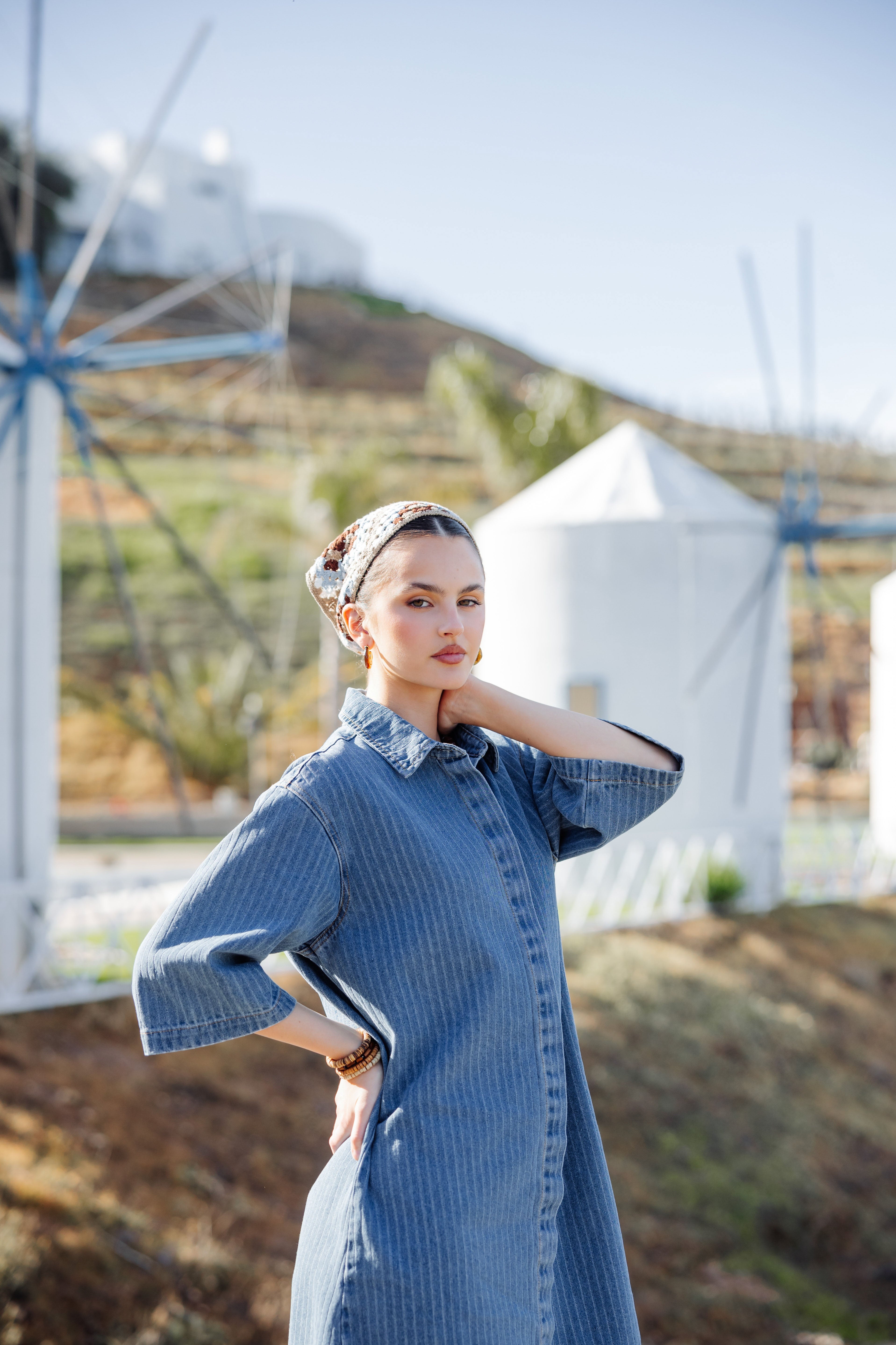 Denim Pinstripe Dress