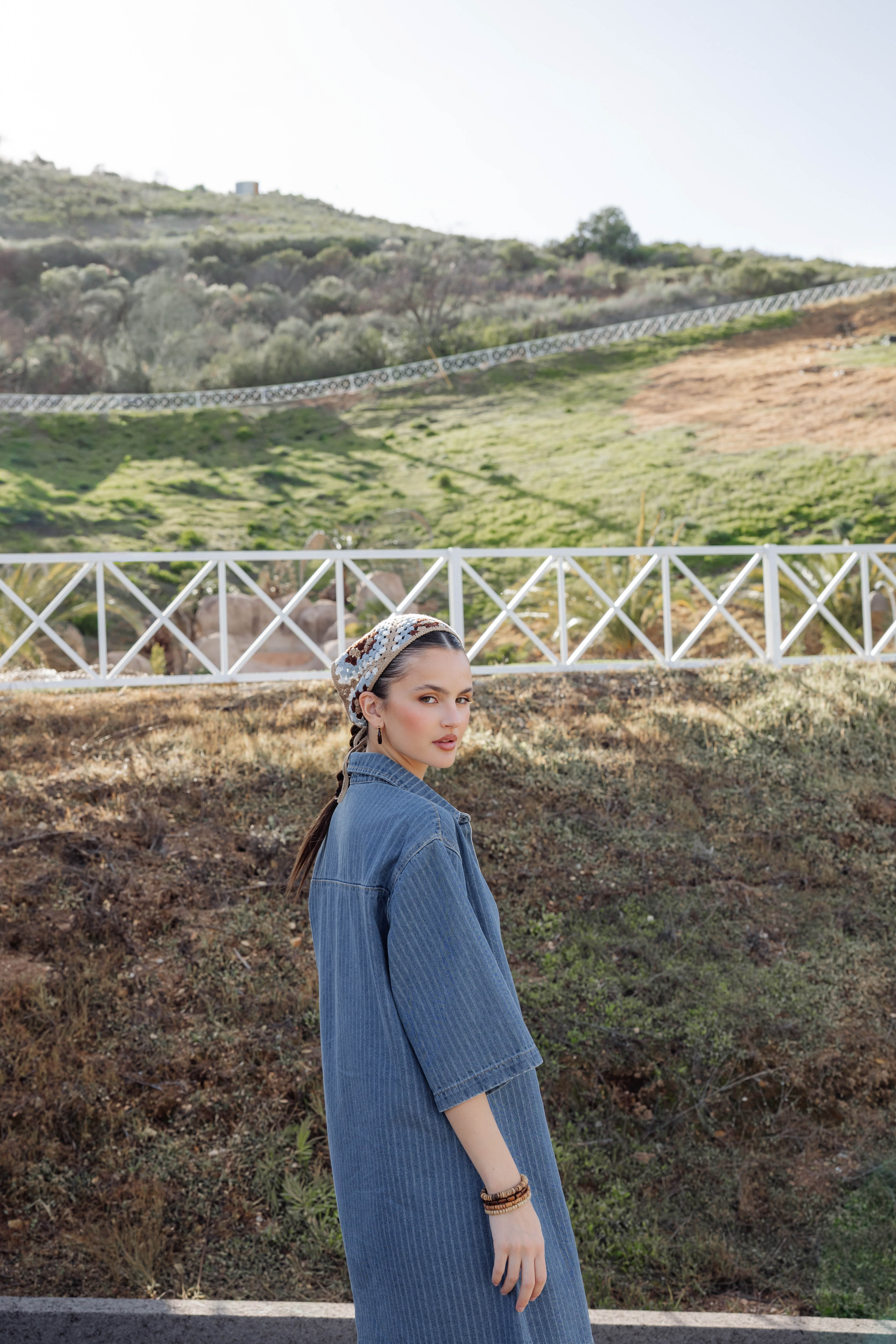 Denim Pinstripe Dress