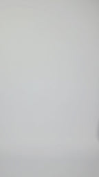 Slip Long Sleeve Dress