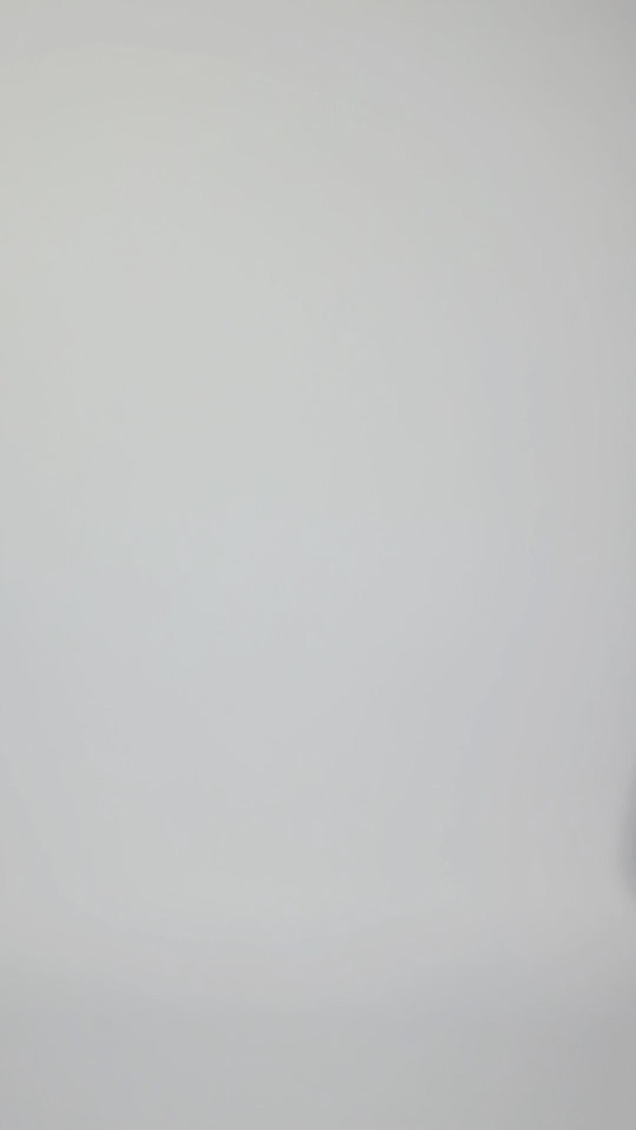 Slip Long Sleeve Dress