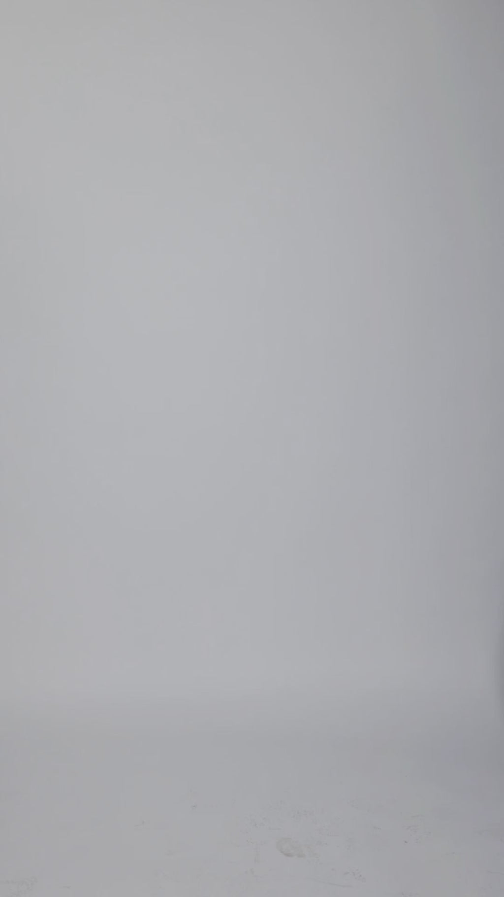 Slip Long Sleeve Dress