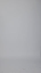 Slip Long Sleeve Dress