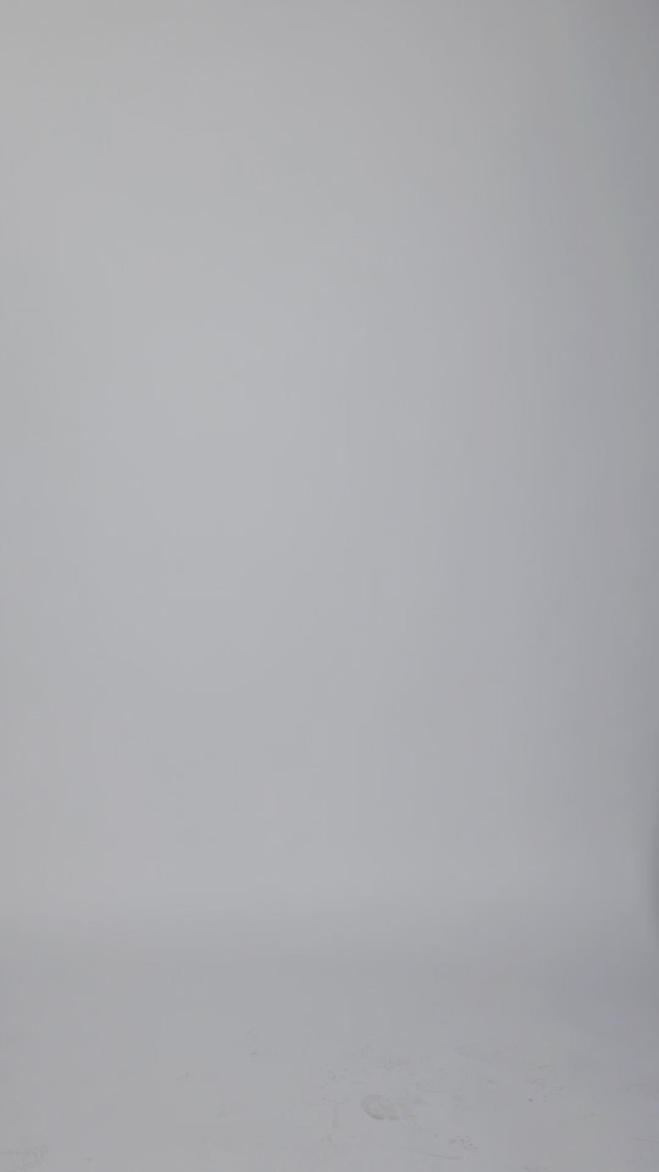 Slip Long Sleeve Dress