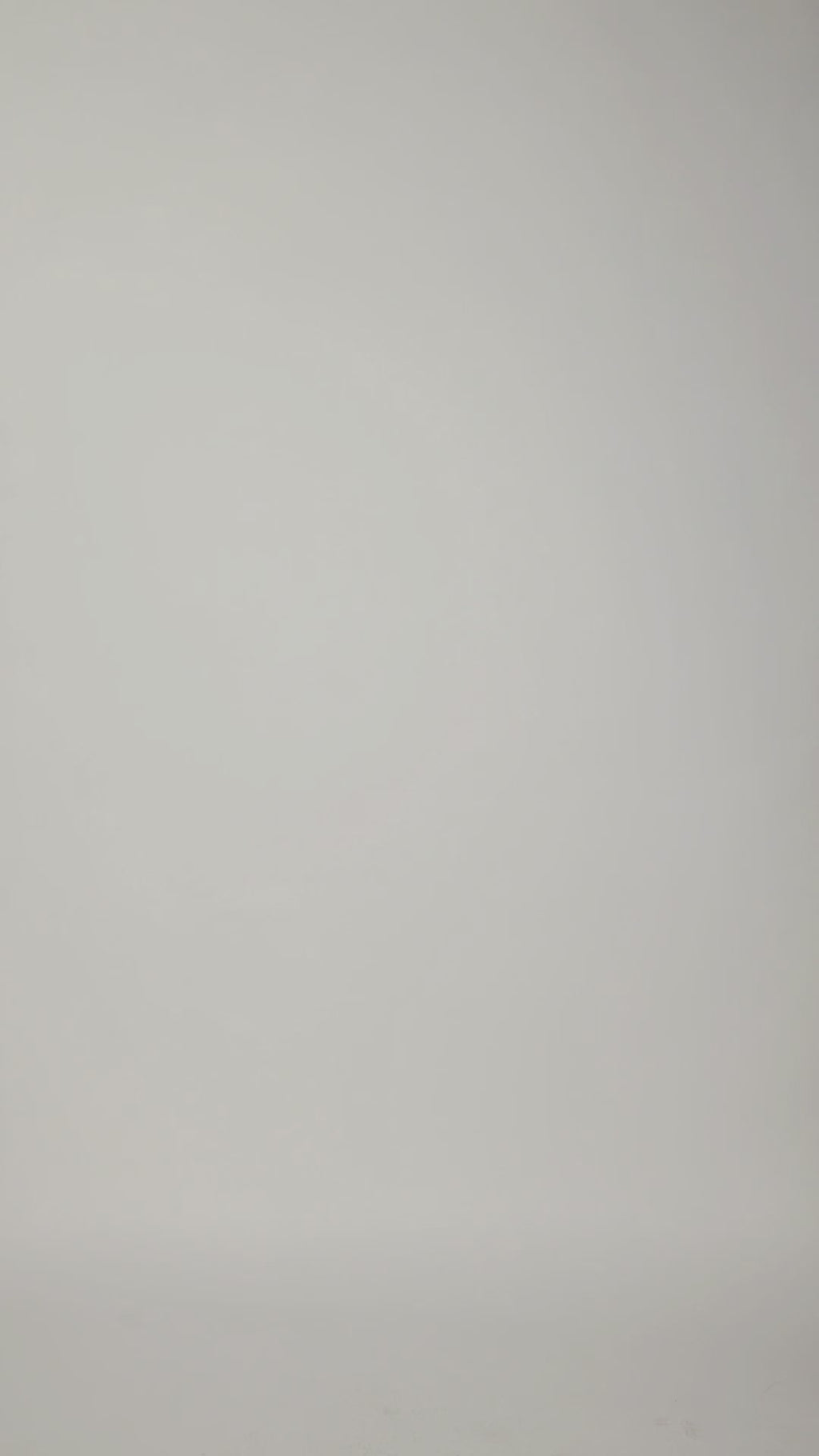 Slip Long Sleeve Dress