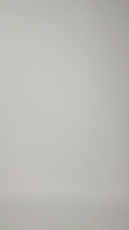 Slip Long Sleeve Dress