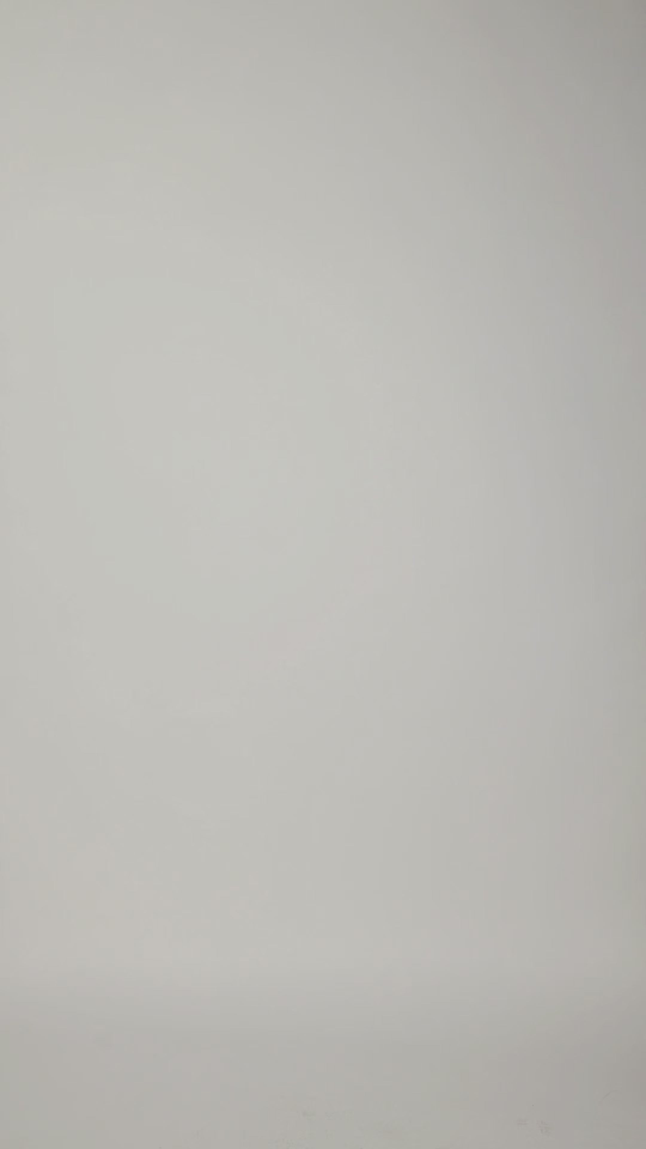 Slip Long Sleeve Dress