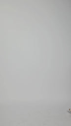 Horsebit Denim Skirt