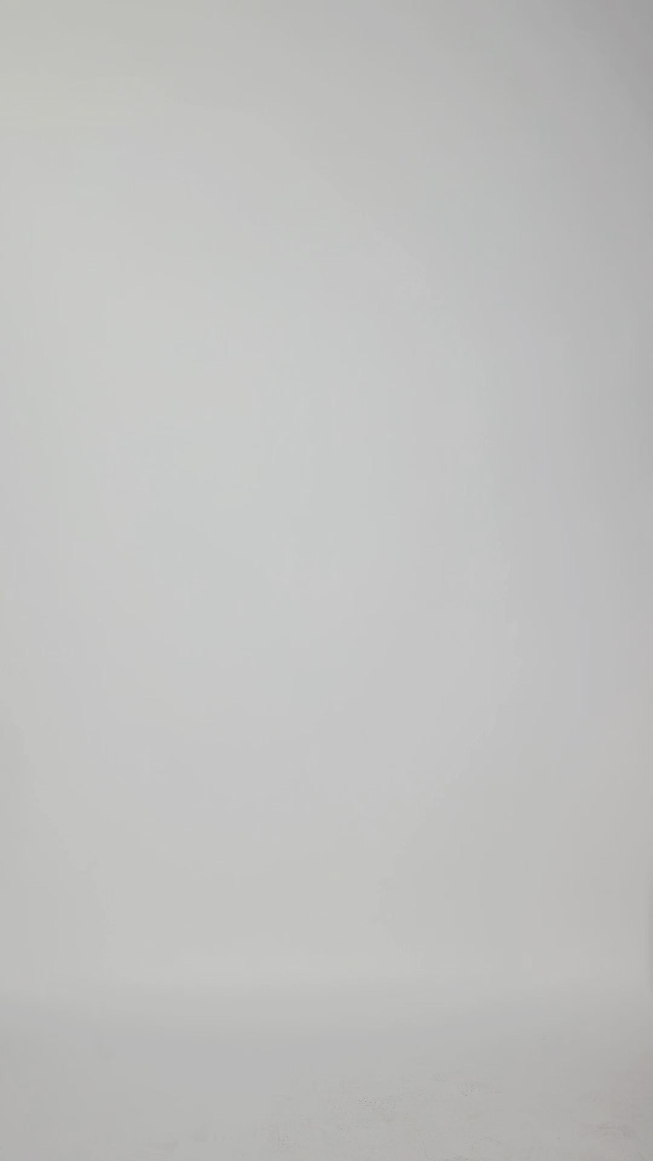 Horsebit Denim Skirt