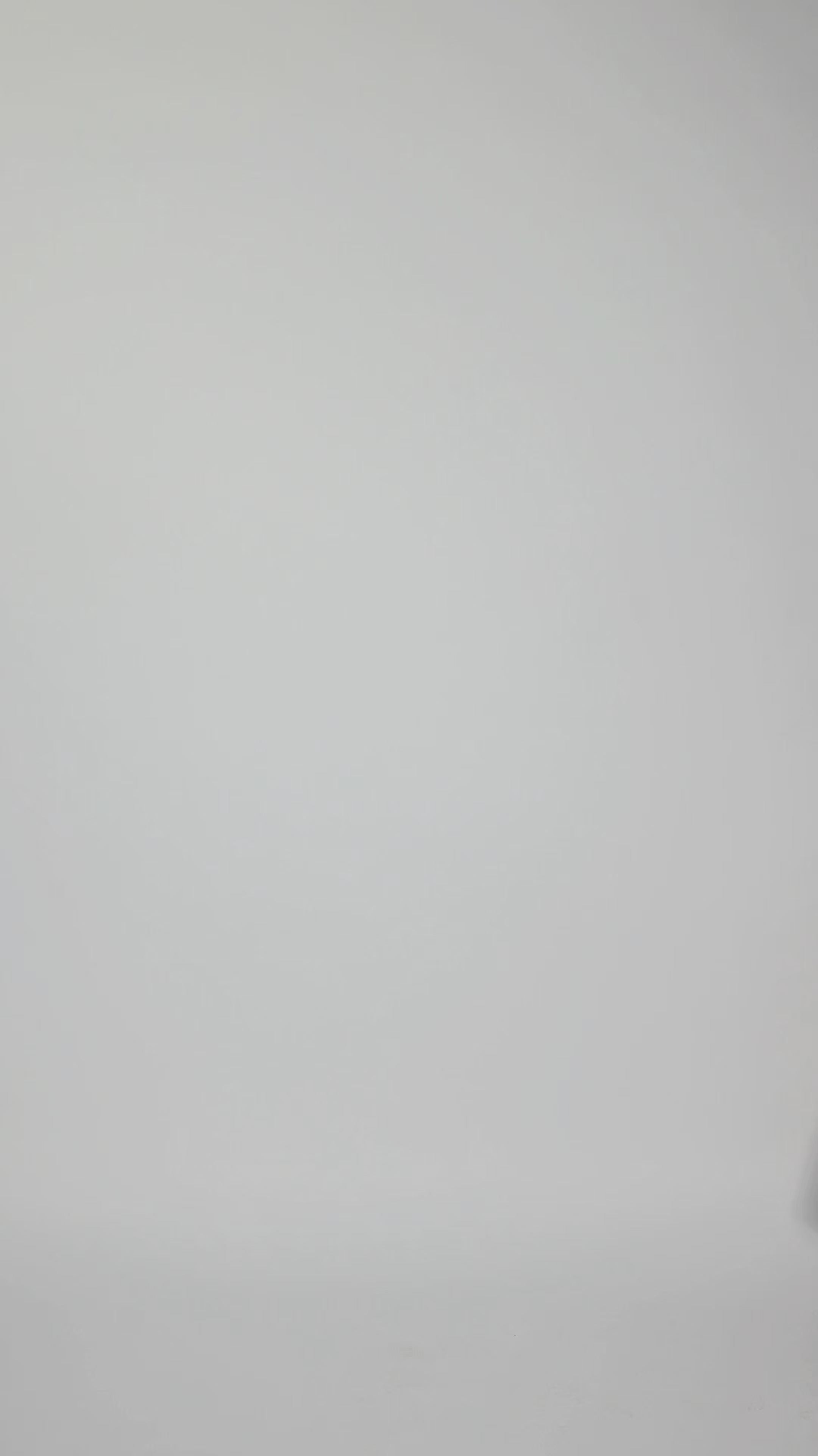 Anchor Crest Oversized Tee