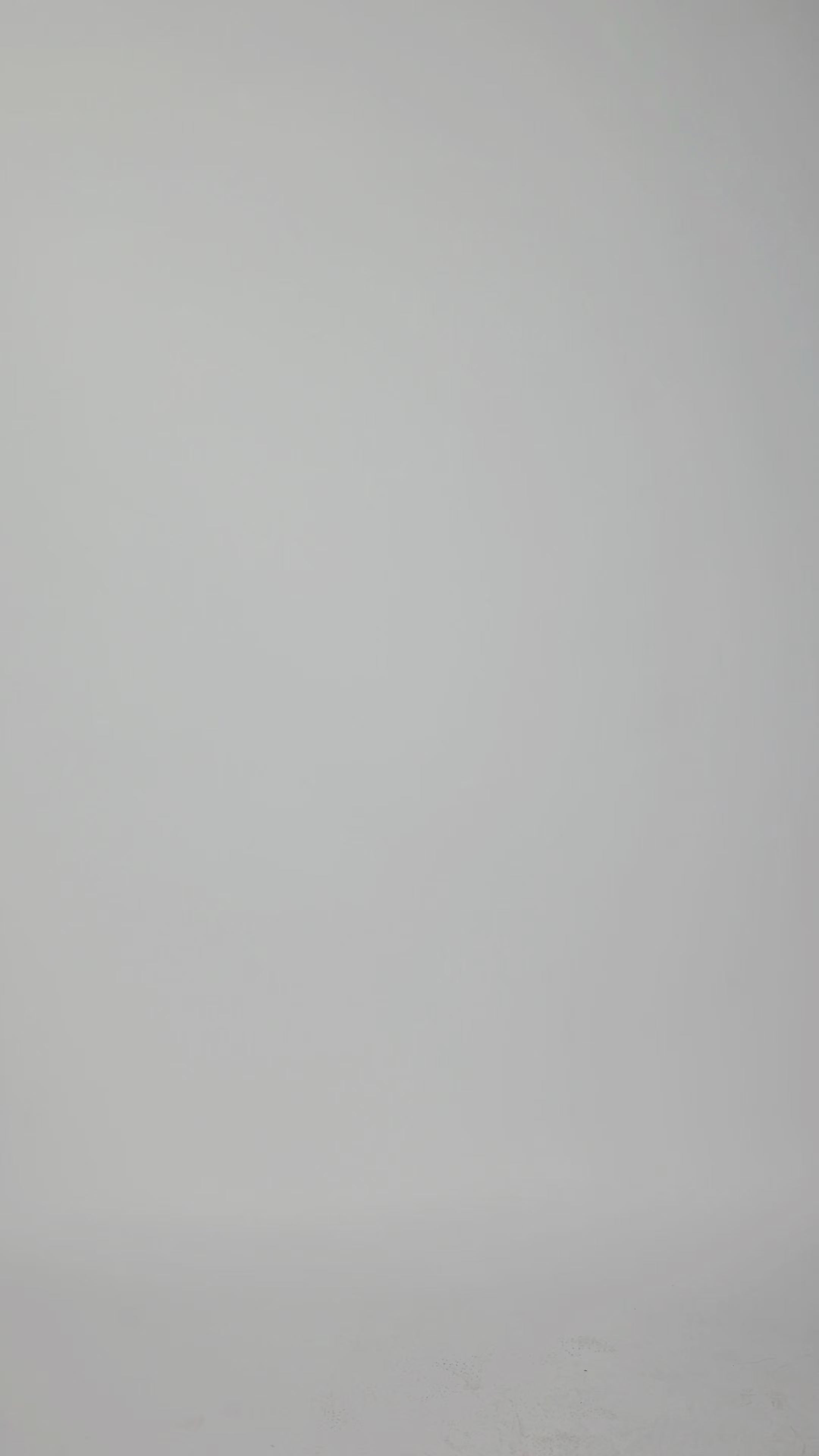 Teddy Icon Long Sleeve