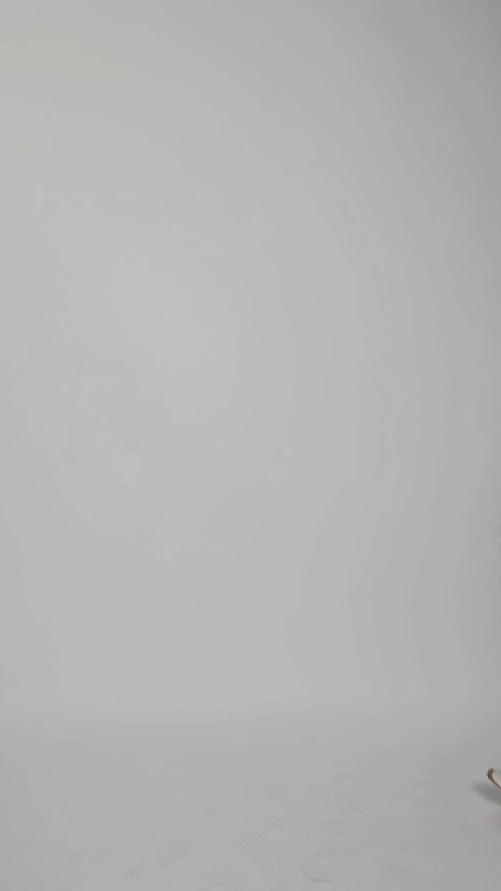 Varsity Patch Long Sleeve