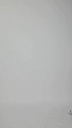 Varsity Patch Long Sleeve